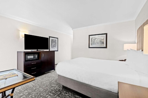 Best Western Garden Inn image 6