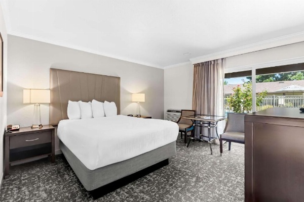 Best Western Garden Inn image 7